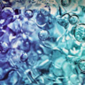 Meet your Posher, Heide